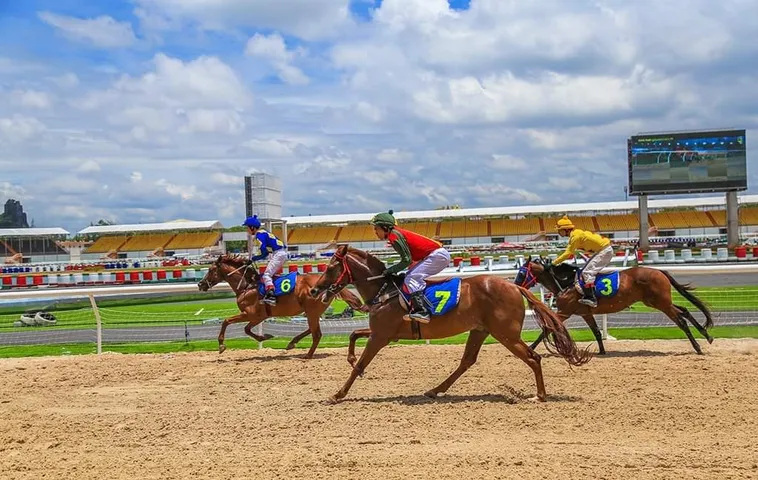 Bật Mí Cách Tìm Hiểu Cá Cược Đua Ngựa 8KBet Thắng Lớn