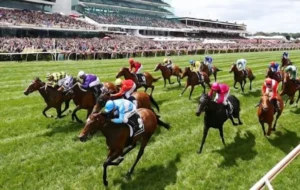 Bật Mí Cách Tìm Hiểu Cá Cược Đua Ngựa 8KBet Thắng Lớn