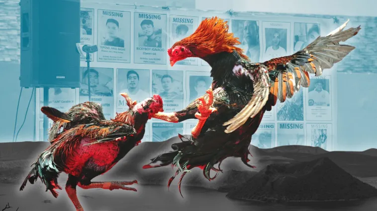 Bí Kíp Chơi Đá Gà Sabong Tại 8KBet Thắng Lớn Mỗi Ngày