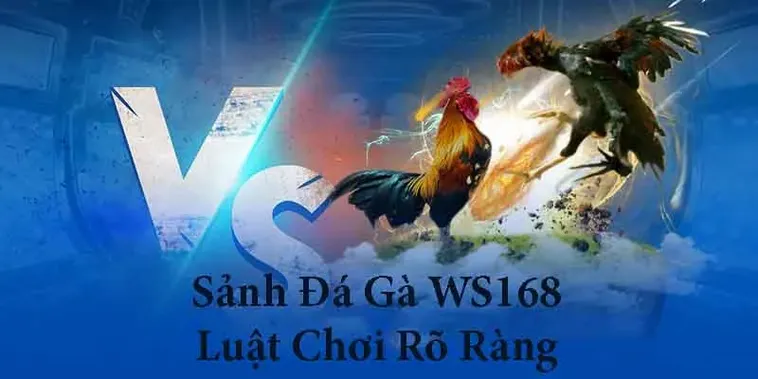 Bật Mí Cách Chơi Đá Gà WS168 Tại 8KBet Thắng Lớn Mỗi Ngày