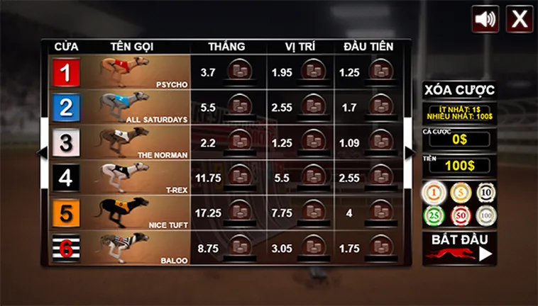 Bí Quyết Soi Kèo Đua Chó 8KBet Luôn Thắng Từ Chuyên Gia